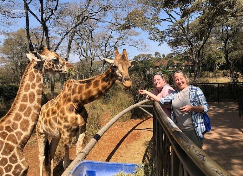 Picture 7 for Activity Nairobi: Baby elephants, giraffes, & beads Factory Half-Day