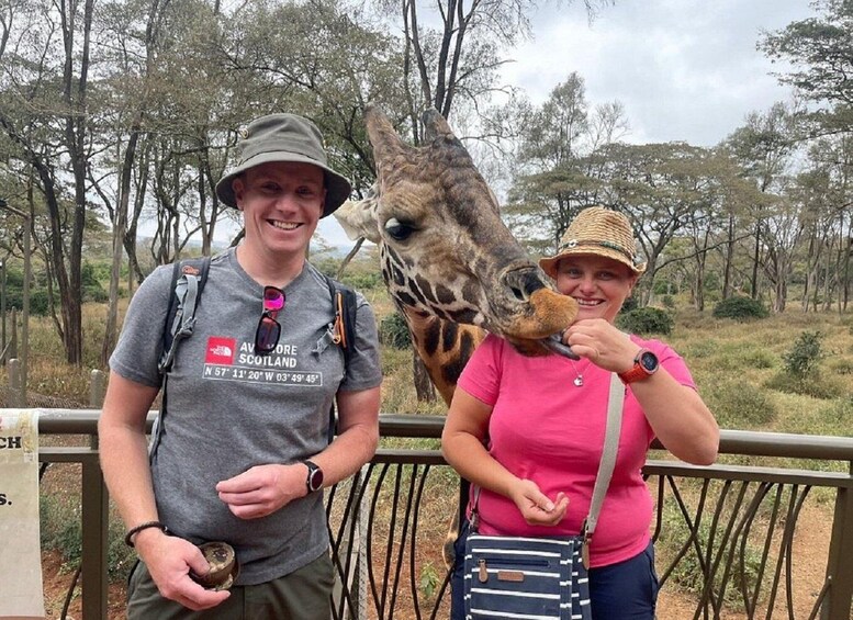 Nairobi: Baby elephants, giraffes, & beads Factory Half-Day
