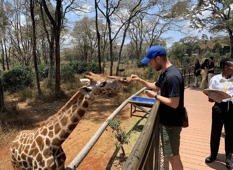 Picture 2 for Activity Nairobi: Baby elephants, giraffes, & beads Factory Half-Day