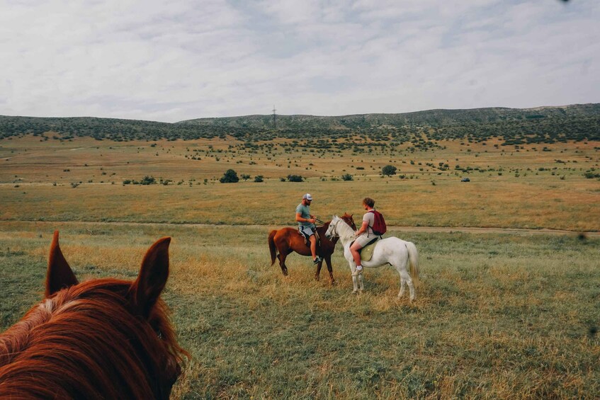 Picture 6 for Activity Tbilisi: Private Horse Riding Adventure in Nature