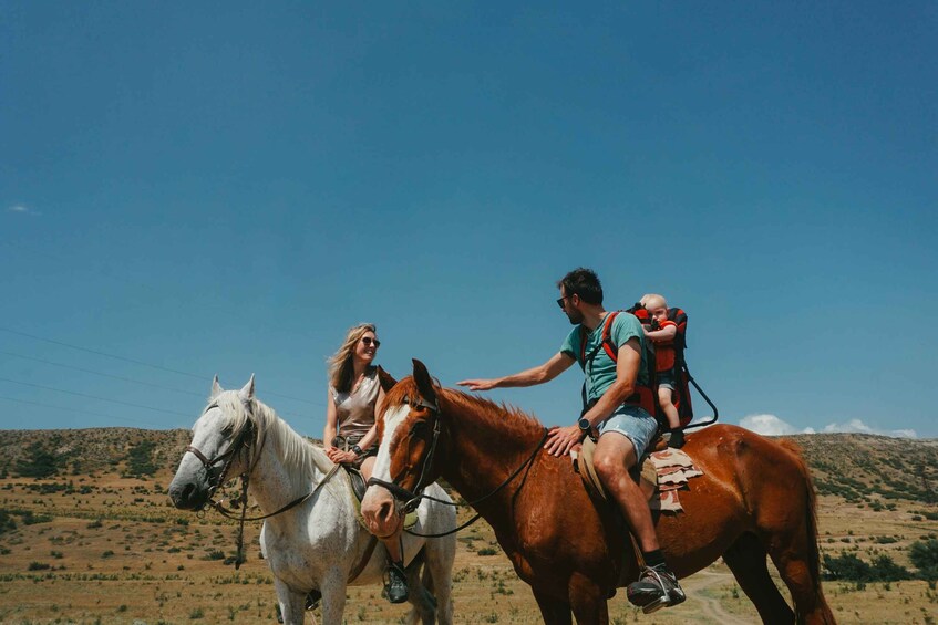 Picture 4 for Activity Tbilisi: Private Horse Riding Adventure in Nature