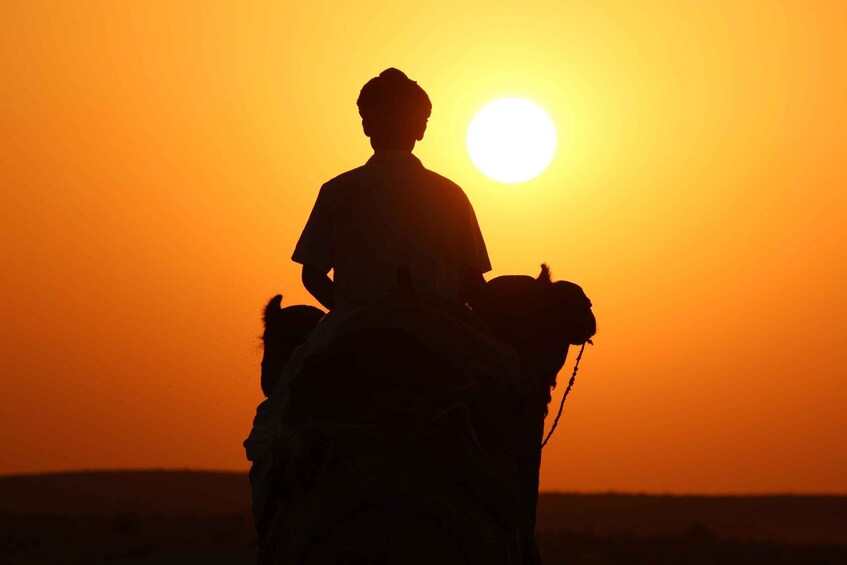 The Billion stars Experience in the Desert (NO CAMEL)