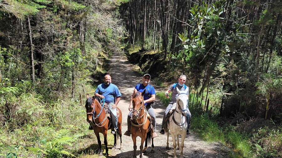 Medellin: Horseback Riding Coffee Farm Tour with Coffee Spa