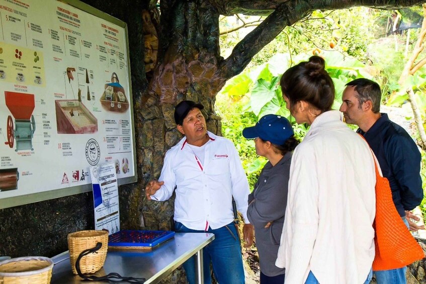 Picture 5 for Activity Medellin: Horseback Riding Coffee Farm Tour with Coffee Spa