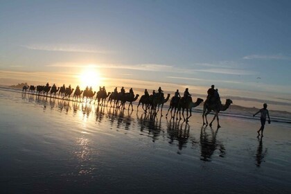 Essaouira: 2 uur quadtour en 1 uur kameeltour