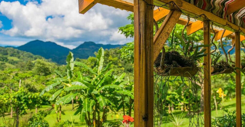 Picture 5 for Activity Full-day private tour to Nicaragua from Costa Rica