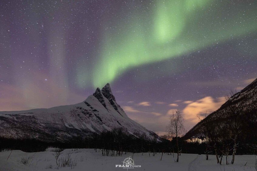 Picture 17 for Activity Tromso: Northern Lights Tour with Photographer