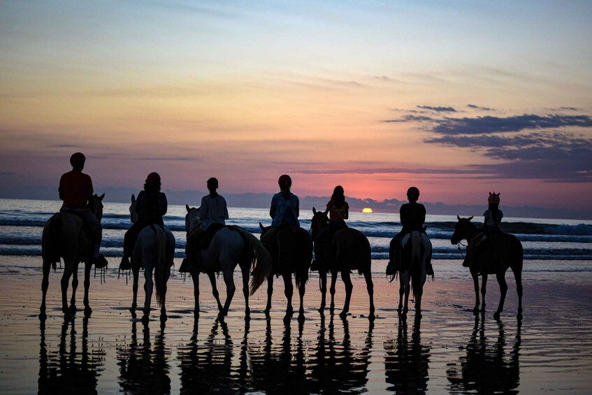 Picture 1 for Activity Horseback Riding Tours also in Costa Rica