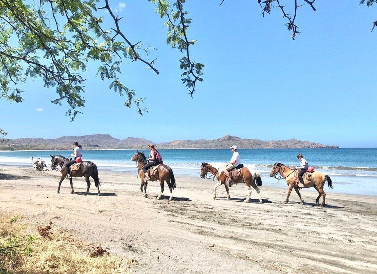 Picture 2 for Activity Horseback Riding Tours also in Costa Rica