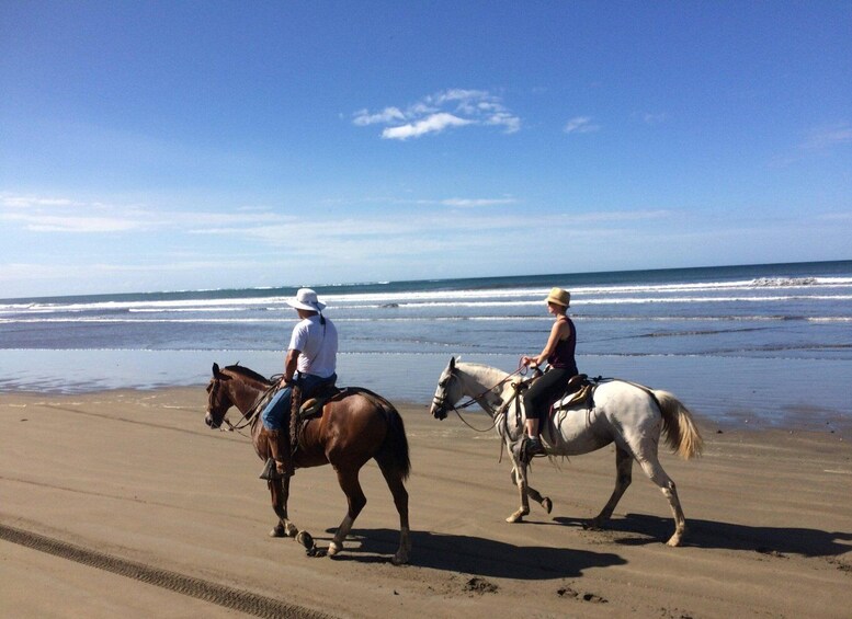 Picture 3 for Activity Horseback Riding Tours also in Costa Rica