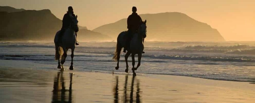 Horseback Riding Tours also in Costa Rica