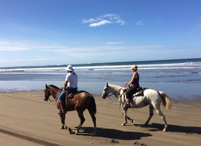Picture 3 for Activity Horseback Riding Tours also in Costa Rica