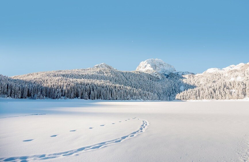 Picture 7 for Activity From Žabljak: Durmitor National Park Private Hiking Tour