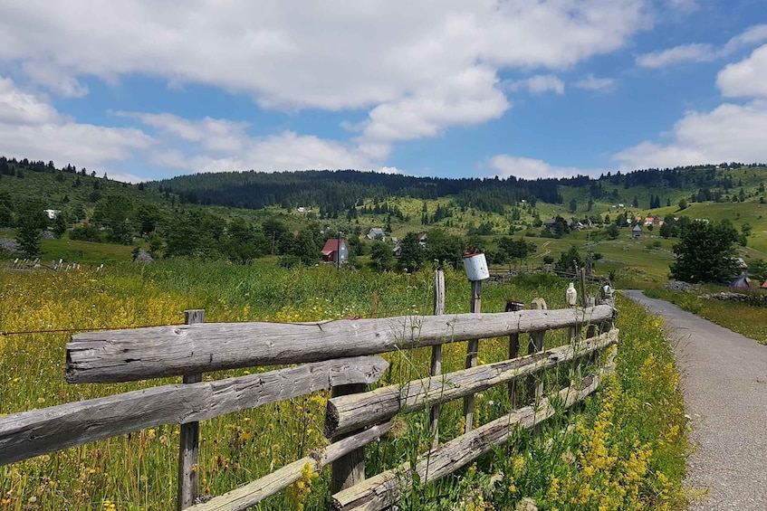 Picture 5 for Activity From Žabljak: Durmitor National Park Private Hiking Tour