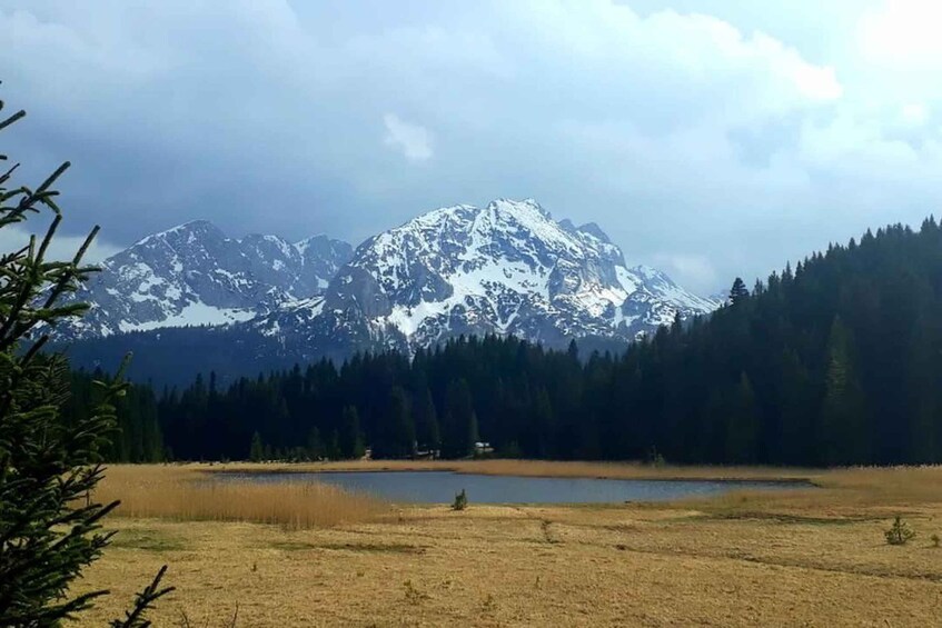 Picture 2 for Activity From Žabljak: Durmitor National Park Private Hiking Tour