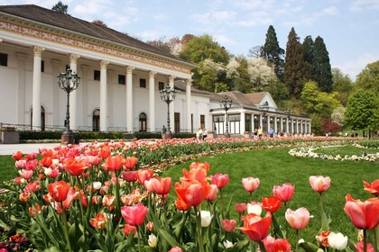 Frankfurt naar Zwarte Woud, Baden-Baden, Freiburg en met de auto