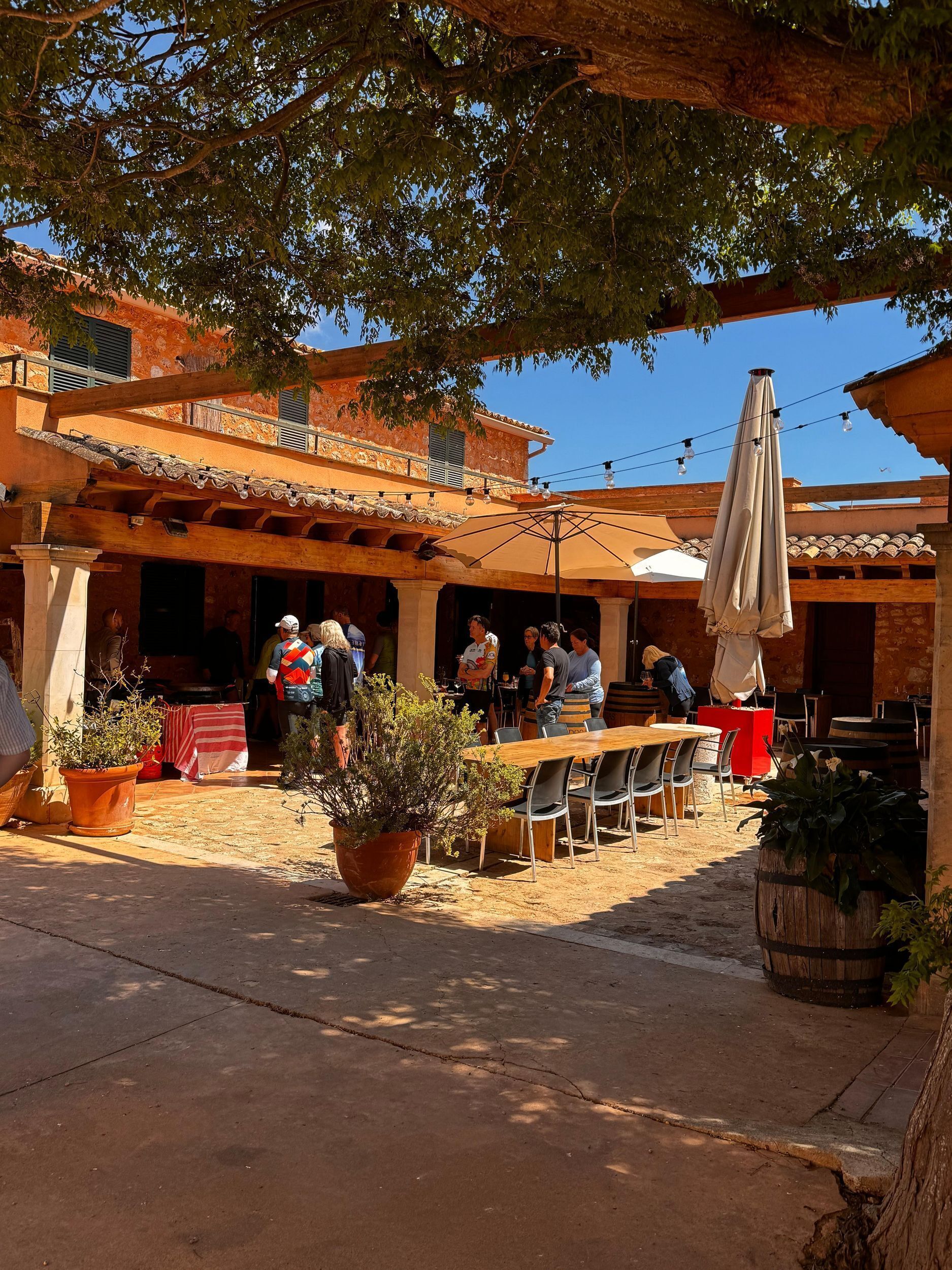 Authentic Wine Tasting at a Mallorcan Family Winery