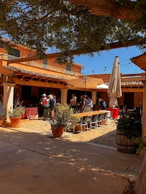 Authentic Wine Tasting at a Mallorcan Family Winery