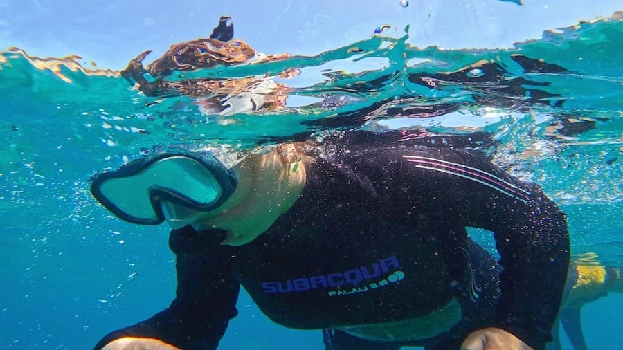 Tenerife: Puerto Colon Snorkel Safari by Speed Boat