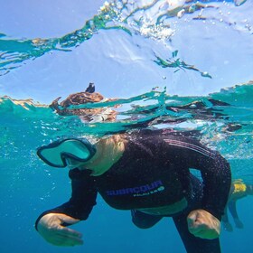 Tenerife: Puerto Colon Snorkel Safari by Speed Boat