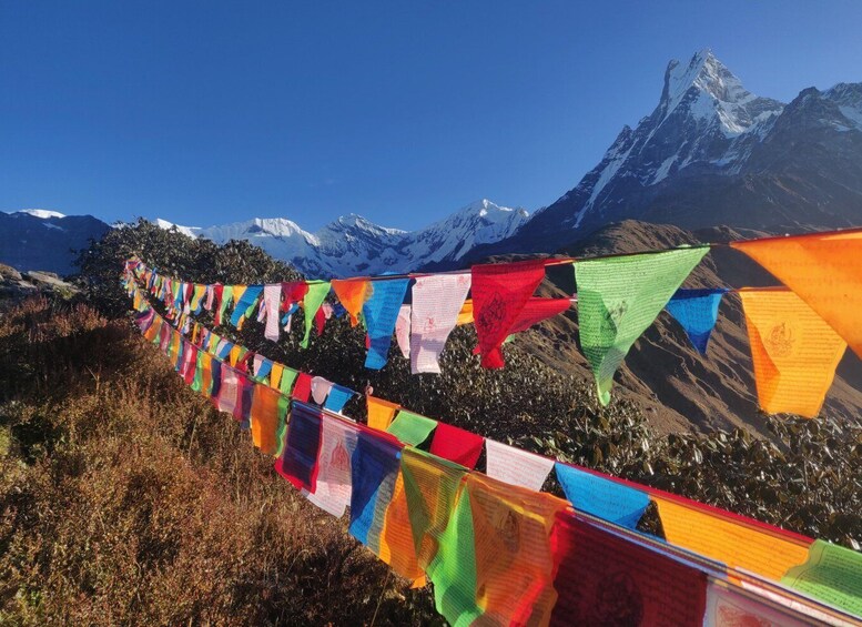 Picture 1 for Activity Mardi Himal: 4-days Trek
