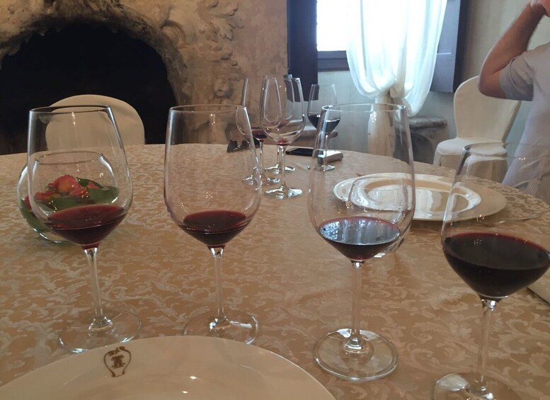 Picture 2 for Activity Verona: Amarone Wine Tour with Gourmet Lunch in Roman Villa