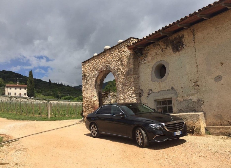 Verona: Amarone Wine Tour with Gourmet Lunch in Roman Villa