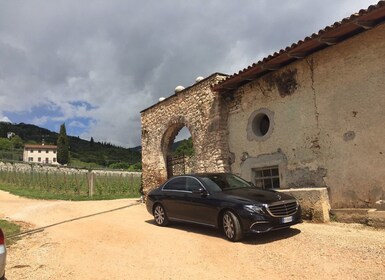 Verona: Amarone-vintur med gourmetlunch i romersk villa