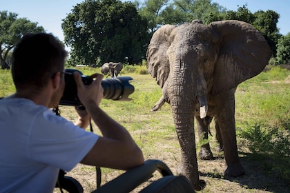 11 giorni di safari in jeep con il meglio della fauna selvatica del Kenya