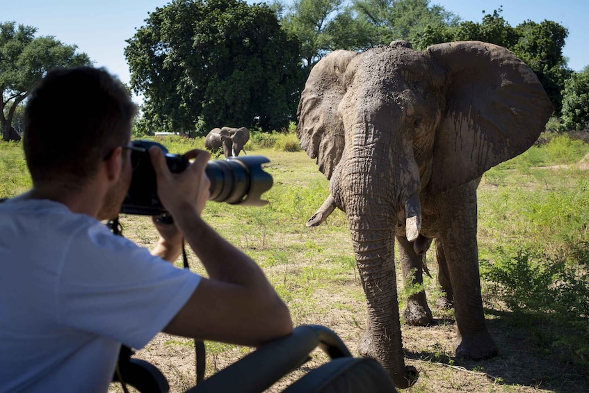 11 Days Best of Kenya Wildlife Jeep Safari