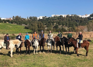 Arcos de la Frontera: Horseback Riding Experience