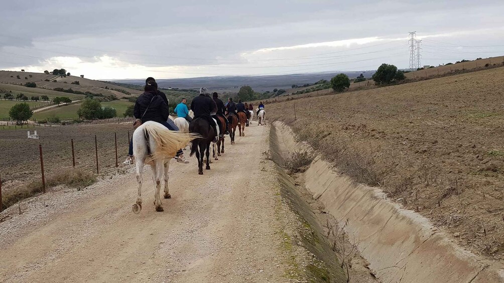 Picture 1 for Activity Arcos de la Frontera: Horseback Riding Experience