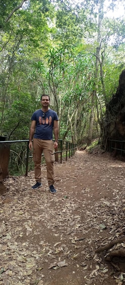 Picture 2 for Activity Karura forest: A walking tour into Nairobi's Nature Oasis