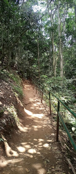 Picture 3 for Activity Karura forest: A walking tour into Nairobi's Nature Oasis