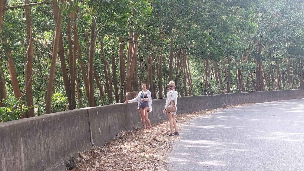 Picture 3 for Activity Kampot: Bokor Mountain Tour with a Guide