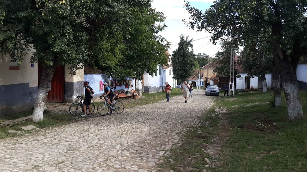 Picture 16 for Activity From Brasov: Sighisoara and Viscri UNESCO Day Tour