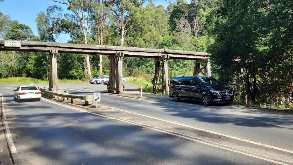 Picture 3 for Activity From Melbourne: Puffing Billy Private Tour