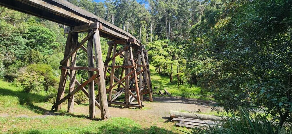 Picture 9 for Activity From Melbourne: Puffing Billy Private Tour