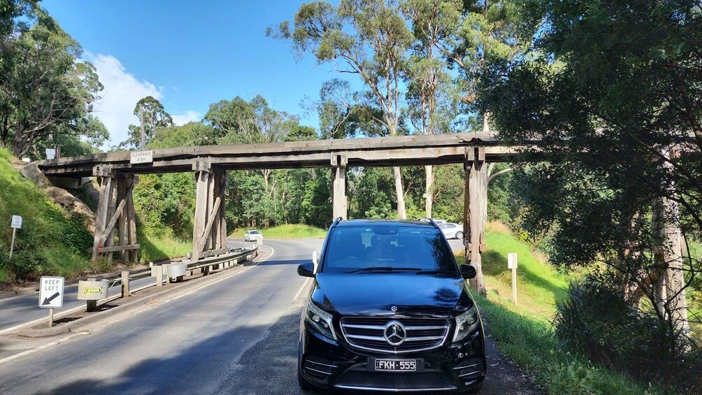 Picture 8 for Activity From Melbourne: Puffing Billy Private Tour