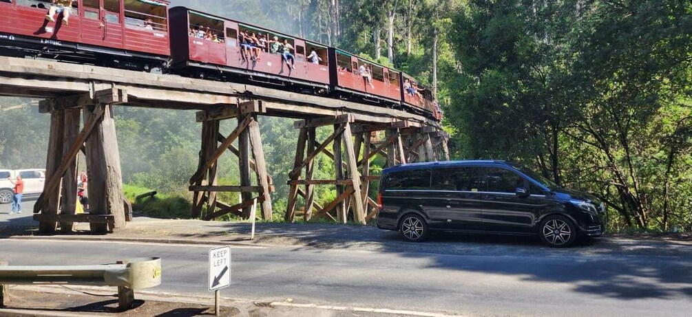 Picture 10 for Activity From Melbourne: Puffing Billy Private Tour