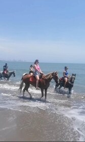 Cartagena, Colombia: Horseback Riding on the Beach + Lunch