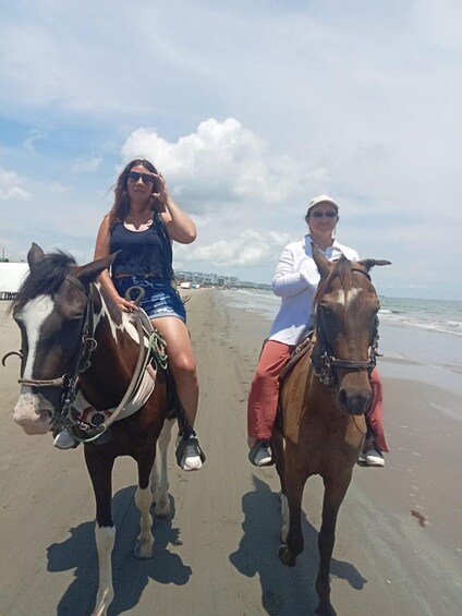 Picture 14 for Activity Cartagena, Colombia: Horseback Riding on the Beach + Lunch