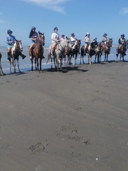 Picture 7 for Activity Cartagena, Colombia: Horseback Riding on the Beach + Lunch
