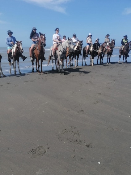 Picture 7 for Activity Cartagena, Colombia: Horseback Riding on the Beach + Lunch