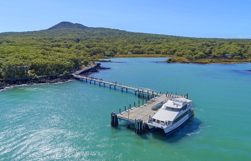 Picture 2 for Activity Auckland: Return Ferry Ticket to Rangitoto Island