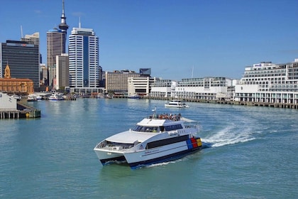 Auckland: Retourticket naar Rangitoto Eiland