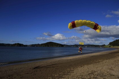 Baie des Îles : Expérience de saut en parachute en tandem