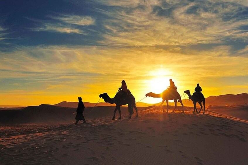 Picture 7 for Activity From Sharm El Sheikh: Bedouin Village, Camel Ride & Dinner