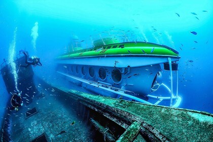 Tenerife Los Gigantes: 50 minutos de buceo submarino