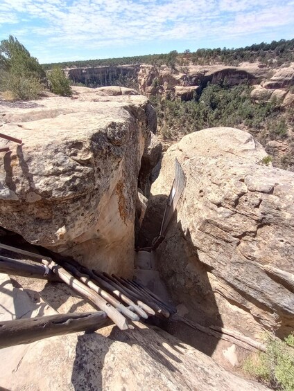 Picture 4 for Activity Durango: Mesa Verde Express Tour and Tickets to Cliff Palace